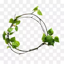 ��Ҷ-������