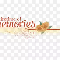 桌面壁纸电脑字体电脑-空若网 桌面壁纸电脑字体电脑-空若网