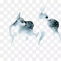 Ë®²Ê£º¶¯ÎïË®²Ê»ÒÕÊõ°æ»-Ë®²Ê»Â¹-¿ÕÈôÍø Ë®²Ê£º¶¯ÎïË®²Ê»ÒÕÊõ°æ»-Ë®²Ê»Â¹-¿ÕÈôÍø