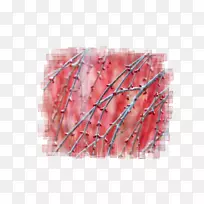 桌面壁纸桌面隐喻台式机环境膝上型电脑主题-笔记本电脑-空若网 桌面壁纸桌面隐喻台式机环境膝上型电脑主题-笔记本电脑-空若网