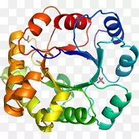 人体珠宝有机体线条剪贴画.珠宝-空若网 人体珠宝有机体线条剪贴画.珠宝-空若网