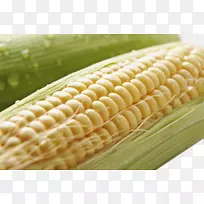 �����ϵ�����-����-������