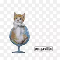 胡须猫PSP游戏-猫-空若网 胡须猫PSP游戏-猫-空若网