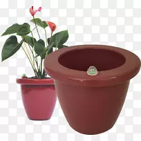 癌症陶瓷植物的盆栽治疗-空若网 癌症陶瓷植物的盆栽治疗-空若网