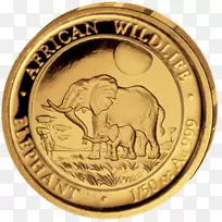 金币盎司-空若网 金币盎司-空若网