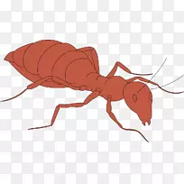 �������������-�ۺ�ɫ����-������