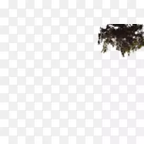 ��ľ��ľ�����plc������-������