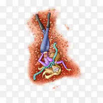 �л���-���-��������-������