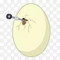 昆虫-空若网 昆虫-空若网