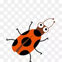 瓢虫昆虫剪贴画.瓢虫材料图片-空若网 瓢虫昆虫剪贴画.瓢虫材料图片-空若网