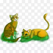 猫尾野生动物-紫色飞溅-空若网 猫尾野生动物-紫色飞溅-空若网