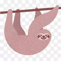 ����������Ϣ-�������-������