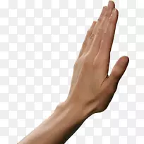 �ſ���ָ-������