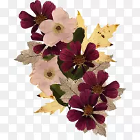 花卉设计剪贴画-花束-空若网 花卉设计剪贴画-花束-空若网