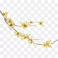 嫩枝植物茎开花植物新年植物-空若网 嫩枝植物茎开花植物新年植物-空若网