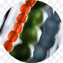 ²£Á§ÖéÖÆ×÷×°ÊÎÒÕÊõ²£Á§ÖéÖÆ»¨Æ¿-¿ÕÈôÍø ²£Á§ÖéÖÆ×÷×°ÊÎÒÕÊõ²£Á§ÖéÖÆ»¨Æ¿-¿ÕÈôÍø