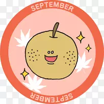 Ц������ƻ��������-Ц��-������