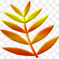 橙色S.A.日产秋花-空若网 橙色S.A.日产秋花-空若网