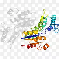 Êß²ËÓлúÌåϵÁмôÌù»-Êß²Ë-¿ÕÈôÍø Êß²ËÓлúÌåϵÁмôÌù»-Êß²Ë-¿ÕÈôÍø