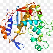 线点生物剪贴画线-空若网 线点生物剪贴画线-空若网