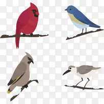 ����ѩ-��ֻ��������-������