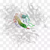 ����ͼ����ƿ�ͨ���������-������