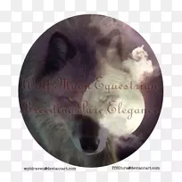 鼻子狗毛须狼和月亮-空若网 鼻子狗毛须狼和月亮-空若网