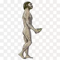 ���ˣ��ᰲ�����ˣ��˵������ߣ���ֱ���ˣ�����-��-������