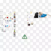 墨尔本导盲犬视力障碍澳大利亚-狗-空若网 墨尔本导盲犬视力障碍澳大利亚-狗-空若网