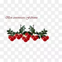 ���������߲�è4 pat-joyeux-�������-������