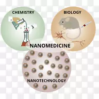纳米医学纳米技术研究实验室纳米疗法-山塔尼姆沙罗夫-空若网 纳米医学纳米技术研究实验室纳米疗法-山塔尼姆沙罗夫-空若网
