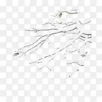 ��ɫͼ��-ѩ֦װ��-������