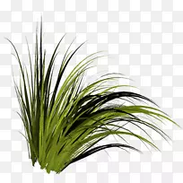 树木草剪贴画-空若网 树木草剪贴画-空若网