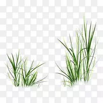 �����ʱ�л����-������