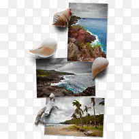 摄影有机体-重聚-空若网 摄影有机体-重聚-空若网