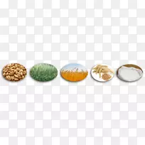 人体珠宝商品-小麦粉-空若网 人体珠宝商品-小麦粉-空若网