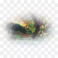 Ë®²Ê»×ÀÃæ±Úֽ̫Ñô»-¿ÕÈôÍø Ë®²Ê»×ÀÃæ±Úֽ̫Ñô»-¿ÕÈôÍø