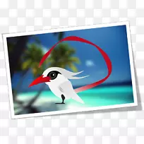 鸟嘴广告动物天空-空若网 鸟嘴广告动物天空-空若网