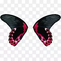 蝴蝶昆虫翅膀剪贴画-蝴蝶-空若网 蝴蝶昆虫翅膀剪贴画-蝴蝶-空若网