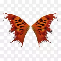 ���������ɶ�����-����-������