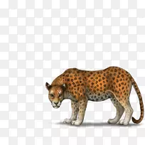 �Ա���è½�������Ա�-������