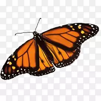 ������������Ȧ����������ˢ�����-������