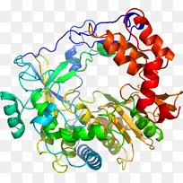 艺术身体珠宝有机体剪贴艺术珠宝首饰-空若网 艺术身体珠宝有机体剪贴艺术珠宝首饰-空若网