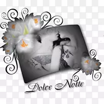 �����ֽƷ�Ƶ����������-������