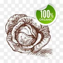 Êß²ËËØÃè-¾íÐIJË-¿ÕÈôÍø Êß²ËËØÃè-¾íÐIJË-¿ÕÈôÍø