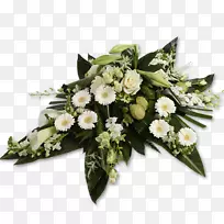 ��������л�����-������