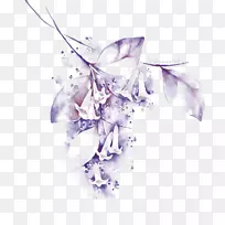 Ë®²Ê»»æ»ÒÕÊõ»¨-×ÏÀ®°È»¨-¿ÕÈôÍø Ë®²Ê»»æ»ÒÕÊõ»¨-×ÏÀ®°È»¨-¿ÕÈôÍø