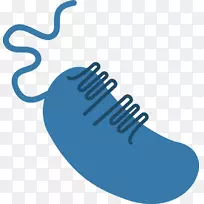 �߼��������-������