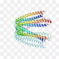 ��־�ߵ�������-������