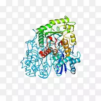 �ߵ������-��-������